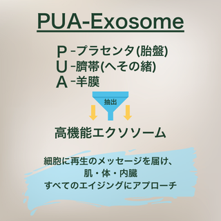 コマンド-PUA/Command-PUA/PUAエクソソーム×シールド乳酸菌M-1®で毎日 