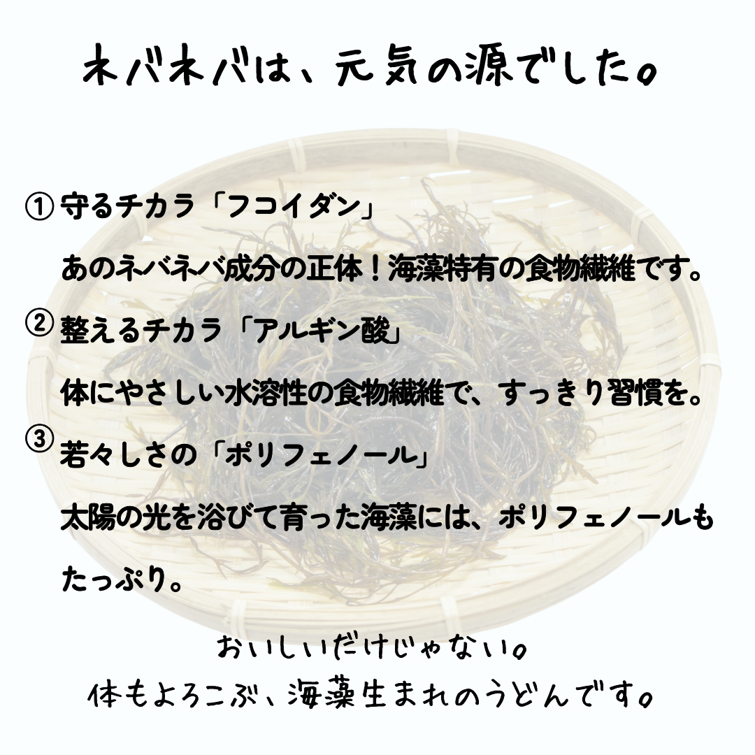 
                  
                    送料無料 あかもくうどん 4袋セット(8人前)｜国産 海藻 乾麺 / 腸活・ヘルシーうどん
                  
                